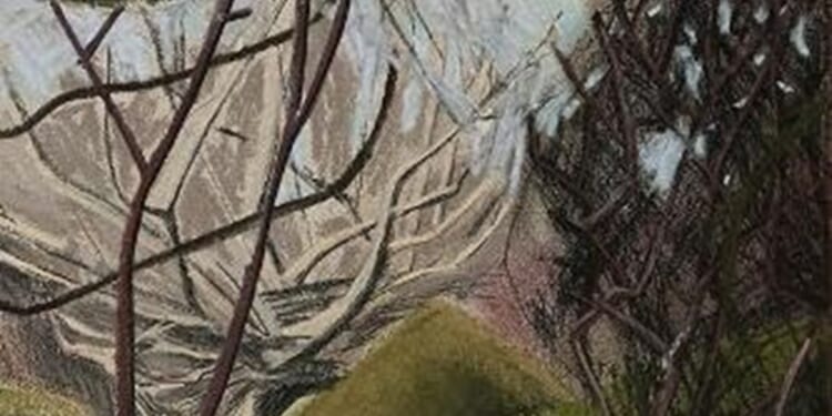 Physical, spiritual and poetic survival by Emma Rose Barber