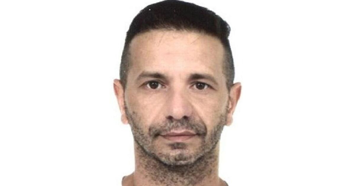 Polish criminal allowed back in the UK as he avoids sentence for rape | Politics | News