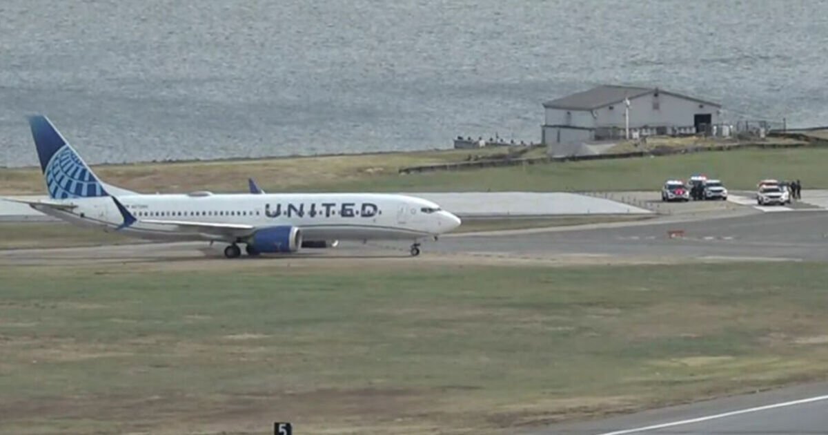 Ronald Reagan Airport LIVE: Flights grounded due to 'bomb threat' as cops flood runway | World | News