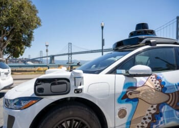 Self-driving cars will make the world safer for cats—and humans too