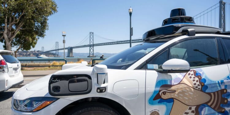 Self-driving cars will make the world safer for cats—and humans too