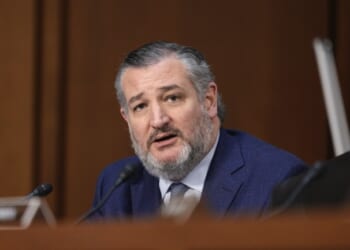 Ted Cruz Has a Good Guess as to When the Schumer Shutdown Is Likely to End, and Why – RedState