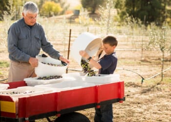 The Baby Boomers' 'Generational Betrayal'