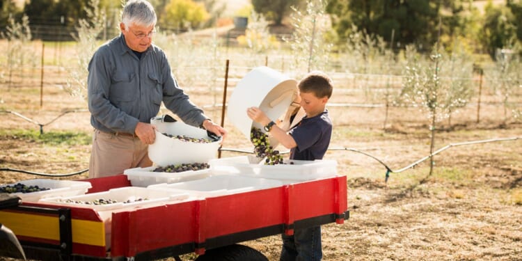 The Baby Boomers' 'Generational Betrayal'