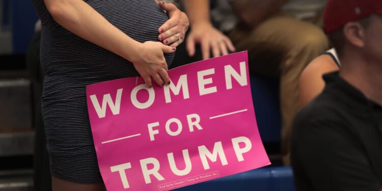 The Partisan Divide in Sinking US Birth Rates