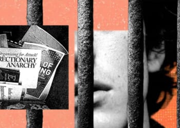 The government thinks anti-government zines are evidence of terrorism