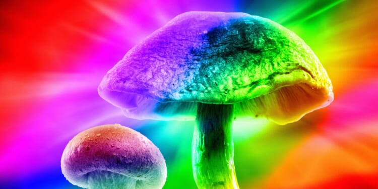 The perils of viewing psilocybin strictly as psychiatric medication