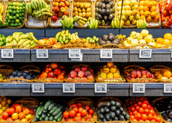 This Welfare Program Has a Bigger Population Than California