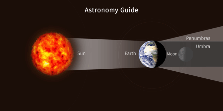 Today in Supreme Court History: November 1, 1961