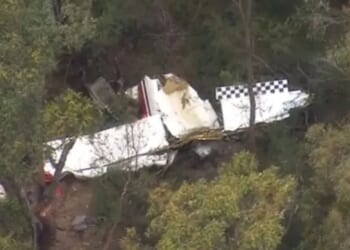 Tragedy as pilot killed after 2 planes crash in horror mid-air moment | World | News