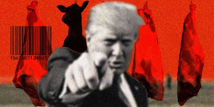 Trump accuses meat packers of 'criminally profiting' off Americans