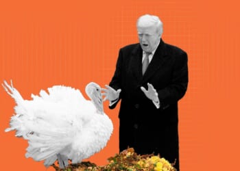 Trump pardoned Gobble and Waddle. He should pardon more deserving people, too.