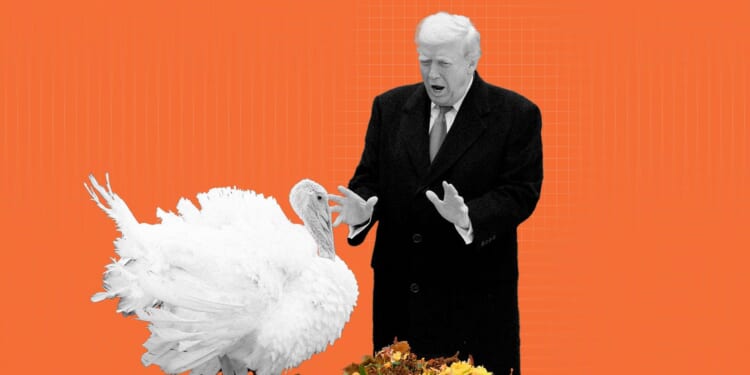 Trump pardoned Gobble and Waddle. He should pardon more deserving people, too.