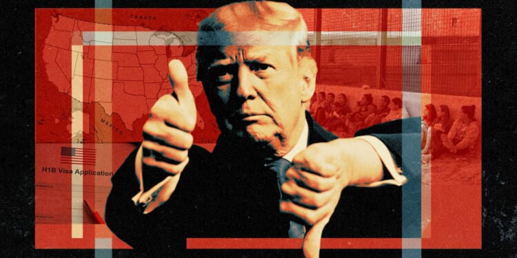 Trump sides with MAGA dynamists over nativists in high-skilled immigration debate