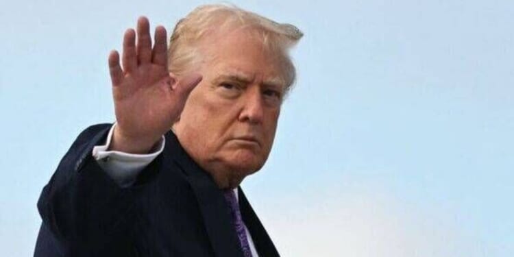 Trump's extraordinary Thanksgiving posts branded 'indefensible' | US | News