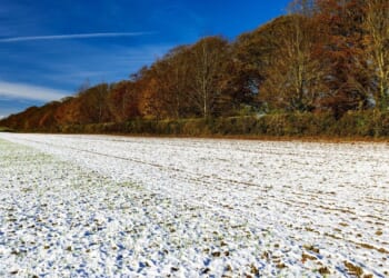 UK weather maps show 24 cities blanketed by snow from Scotland to Brighton | Weather | News