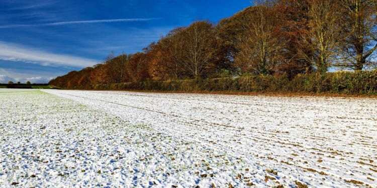 UK weather maps show 24 cities blanketed by snow from Scotland to Brighton | Weather | News