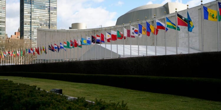 UN Weighs Whether to Ban Surrogacy