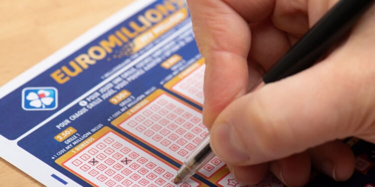 Winning Euromillions numbers LIVE: Full lottery results on November 21 | UK | News