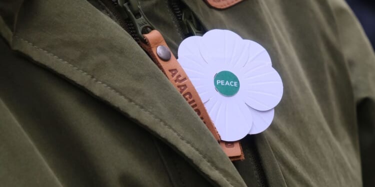 Woke Remembrance campaign to wear white poppies and ‘decolonise’ day | UK | News
