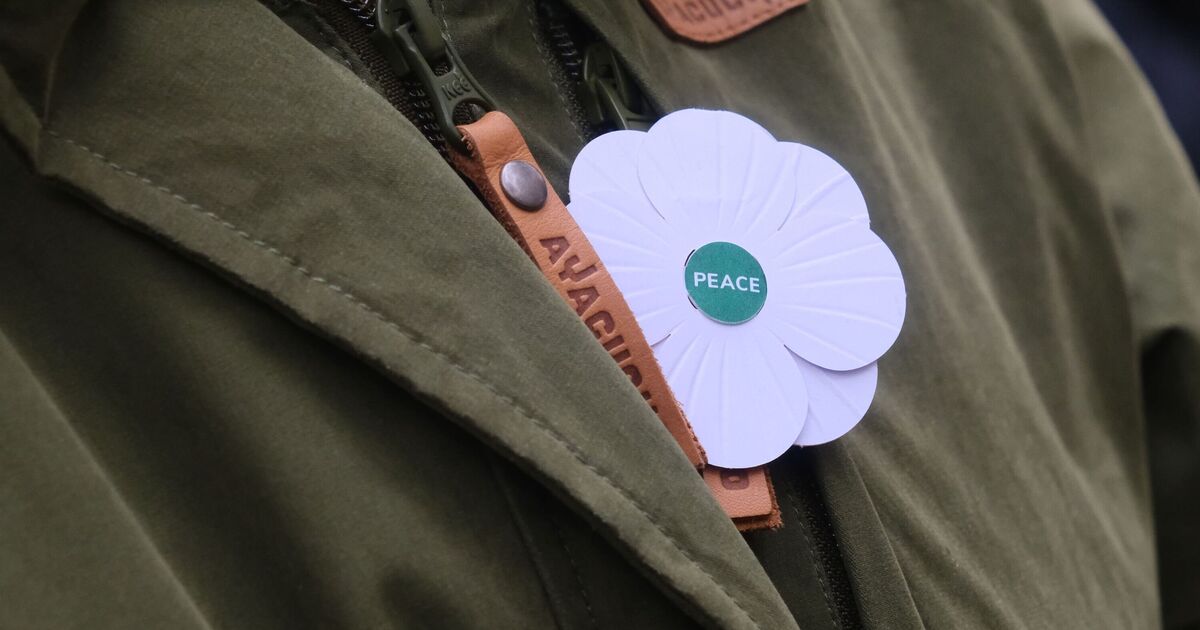 Woke Remembrance campaign to wear white poppies and ‘decolonise’ day | UK | News
