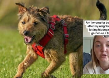 Community left divided after woman names local resident following dog row