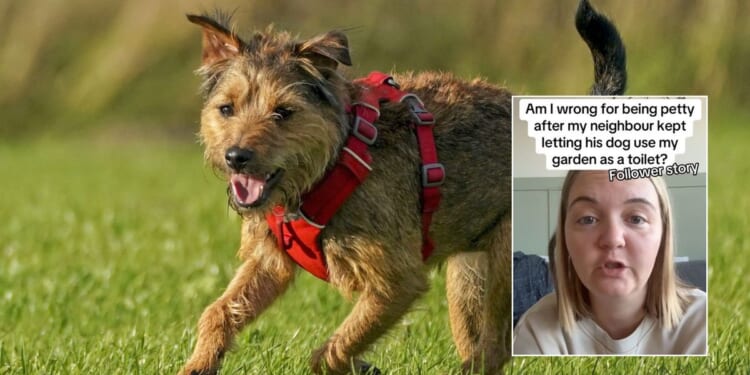 Community left divided after woman names local resident following dog row