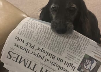 Have a go at the Church Times caption competition