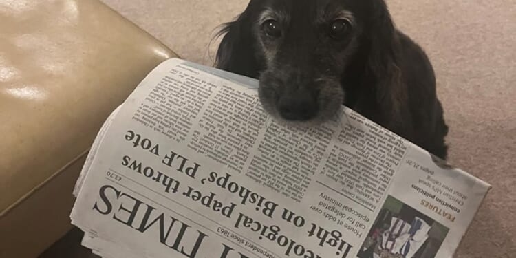 Have a go at the Church Times caption competition