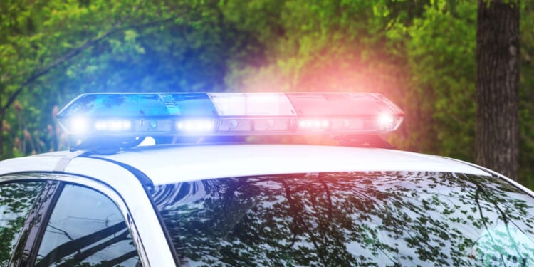 Brickbat: Highway Robbery