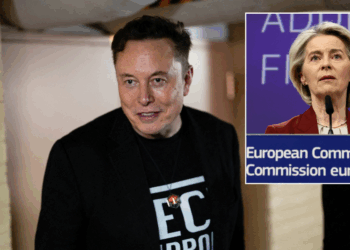 Elon Musk says EU 'must be abolished' after £105m fine for transparency breaches