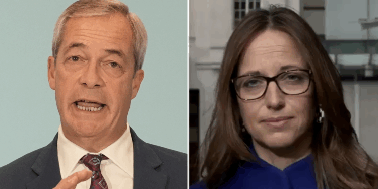Tories snub Nigel Farage's plan to launch legal challenge against cancelled elections