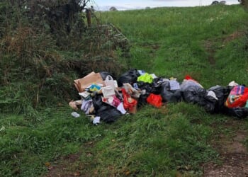 Woman receives £600 fine after paying 'white van man' £60 to clear fly-tipping rubbish