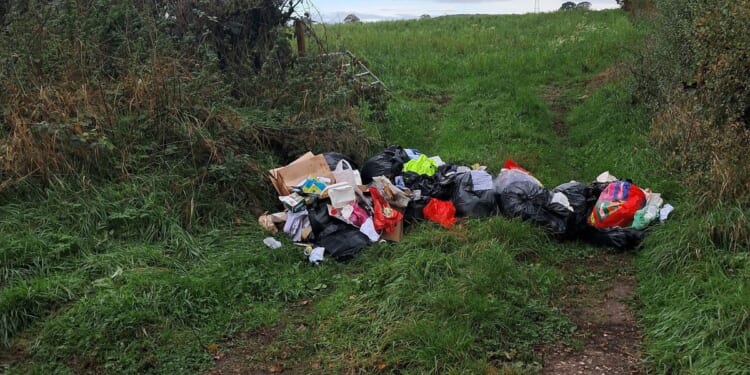 Woman receives £600 fine after paying 'white van man' £60 to clear fly-tipping rubbish