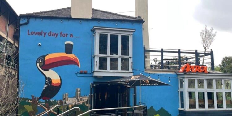 Council row erupts after iconic tourist pub forced to remove 'eyesore' toucan mural
