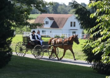 Supreme Court revives Amish challenge to NY student vaccine law