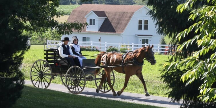 Supreme Court revives Amish challenge to NY student vaccine law