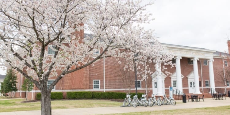 Union University to purchase 36-acre seminary property