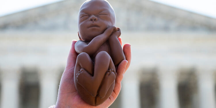 Florida town's abortion buffer zone blocked amid legal battle