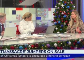 Andrew Pierce stunned at 'horrible' Peta Christmas jumper featuring dead turkey