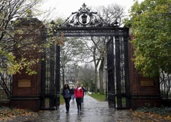 DEI is 'primary vehicle' for antisemitism, watchdog warns