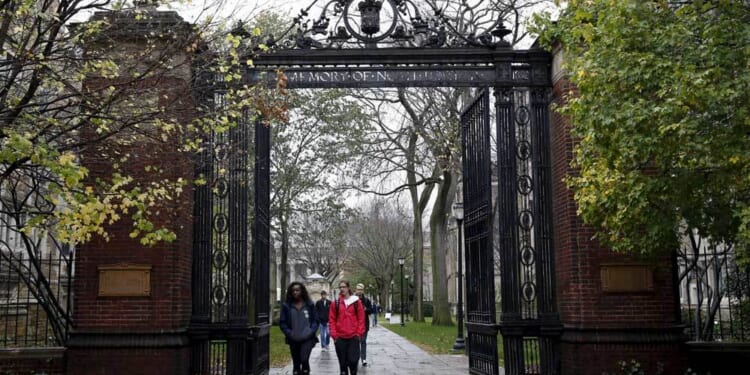 DEI is 'primary vehicle' for antisemitism, watchdog warns