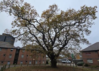 Faith for Holy Places