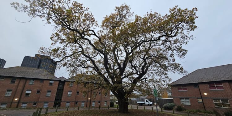 Faith for Holy Places