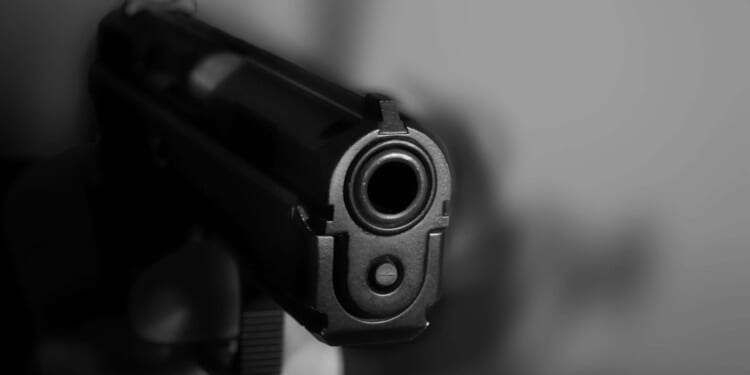 Brickbat: Killer Cop