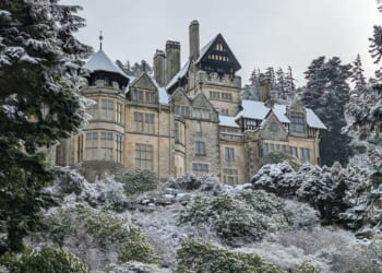 The real reason we started putting lights on Christmas trees | UK | News