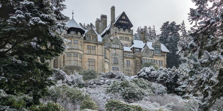 The real reason we started putting lights on Christmas trees | UK | News