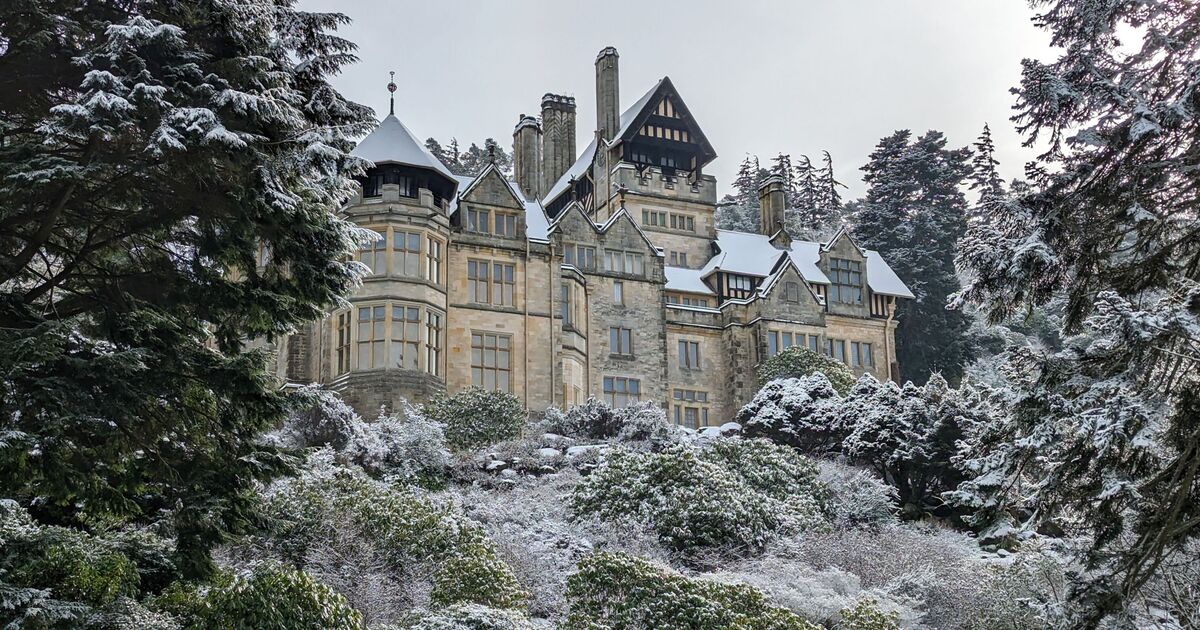 The real reason we started putting lights on Christmas trees | UK | News