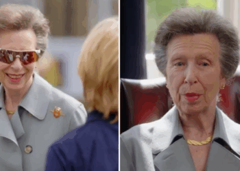 Princess Anne hails support from Ukrainians in new video