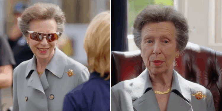 Princess Anne hails support from Ukrainians in new video